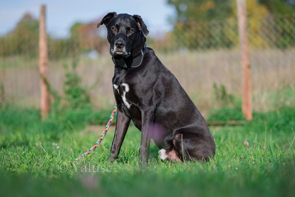 csm_Gizmo_2_2022_8b30756966