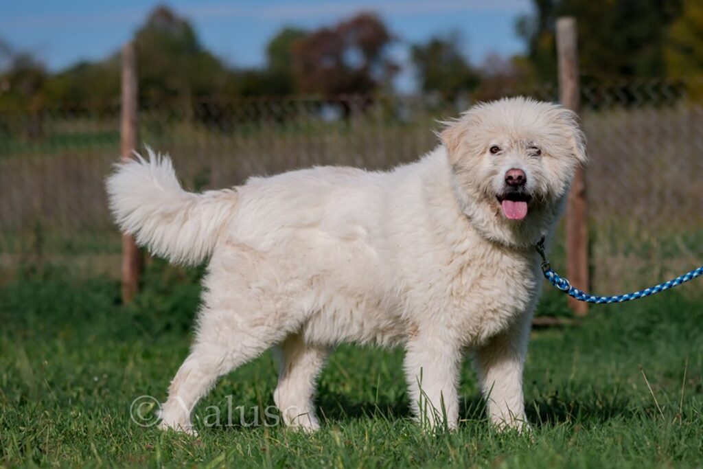 csm_Knut_1_2022_484cd0b5d6