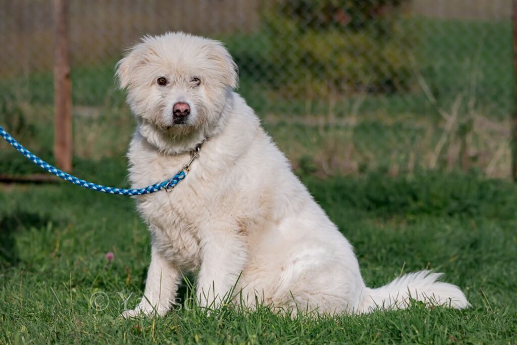 csm_Knut_2_2022_30317b241a