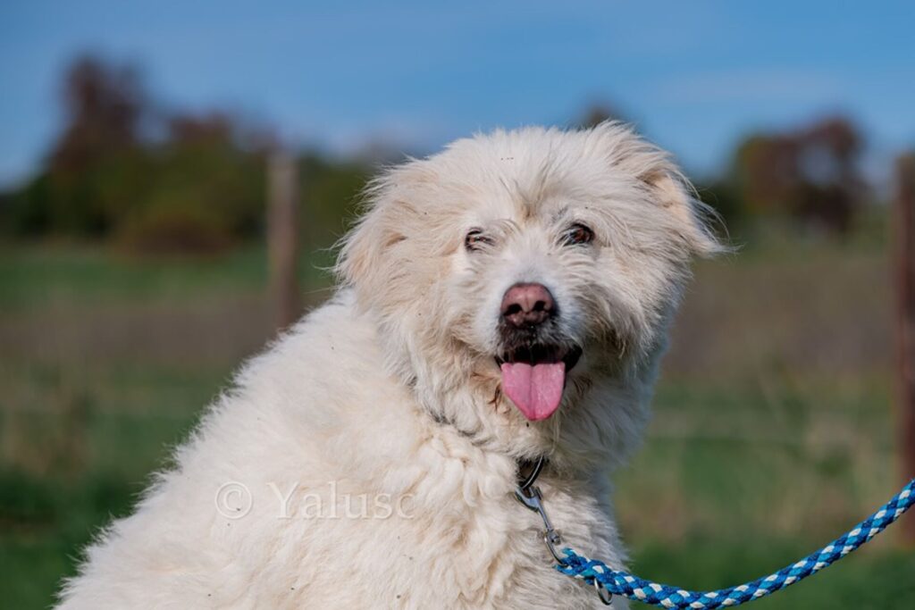 csm_Knut_3_2022_74a634c212