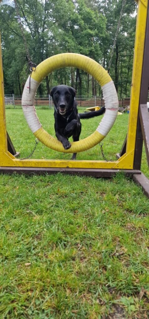 2024-06-10-Moro-1-600x1285