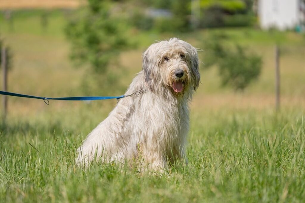 csm_Havanna_02_fb633b9c5a