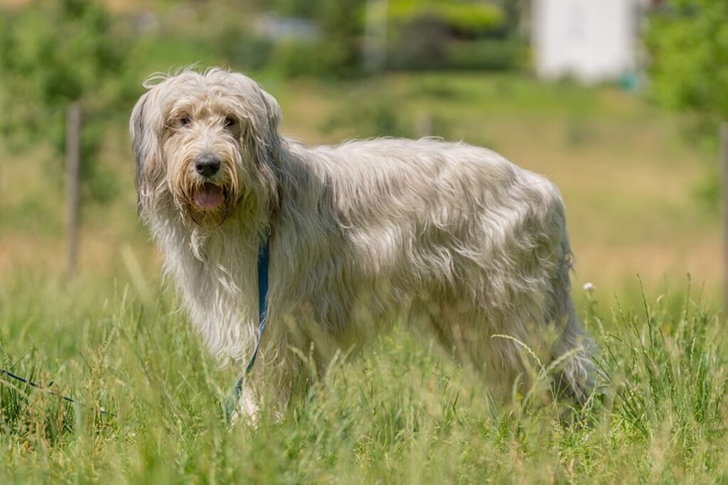 csm_Havanna_03_5c467d02a6