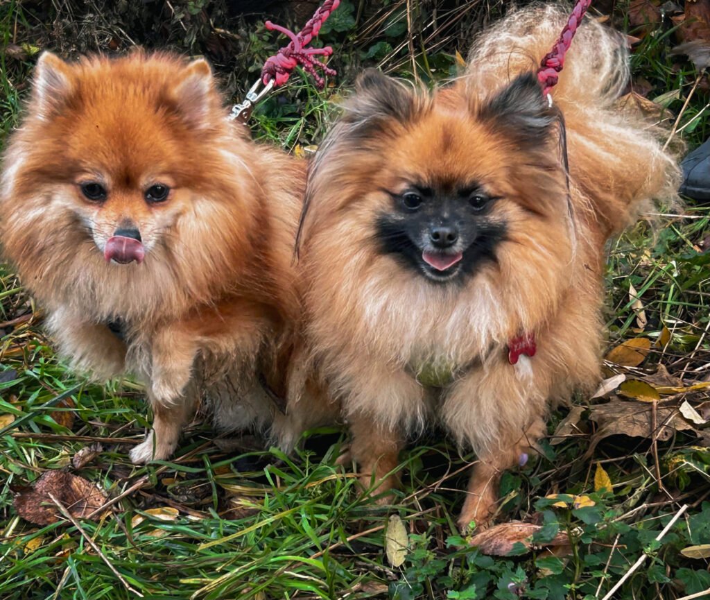 50f14d2a-3d39-4f0c-8882-d90e2ffe56fa