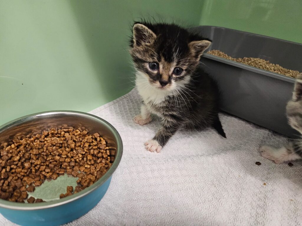 PHOTO-2025-10-12-17-49-46