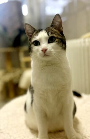 Fee sucht immer noch