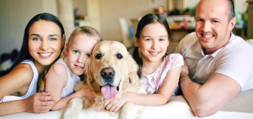 pressmaster / stock.adobe.com