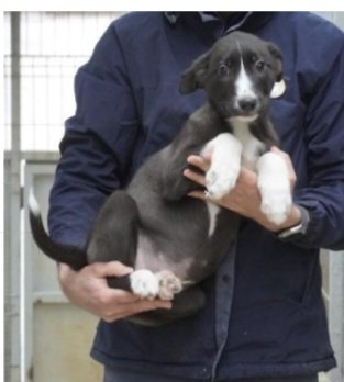 Screenshot_20251222_122355_M365 Copilot