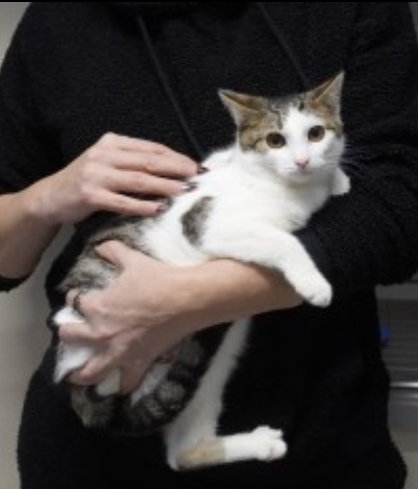 Screenshot_20260106_163704_WhatsApp