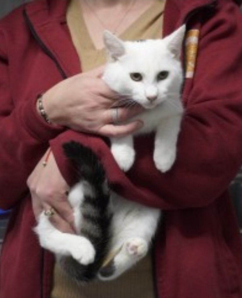 Screenshot_20260106_163729_WhatsApp