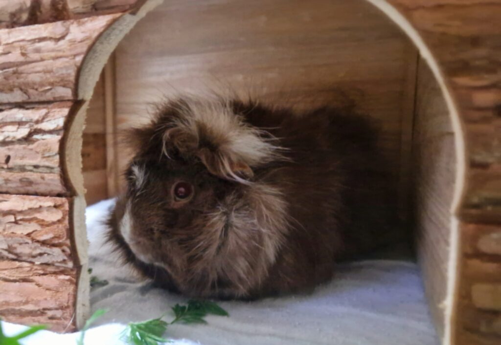 Screenshot_20260110_155422_Gallery