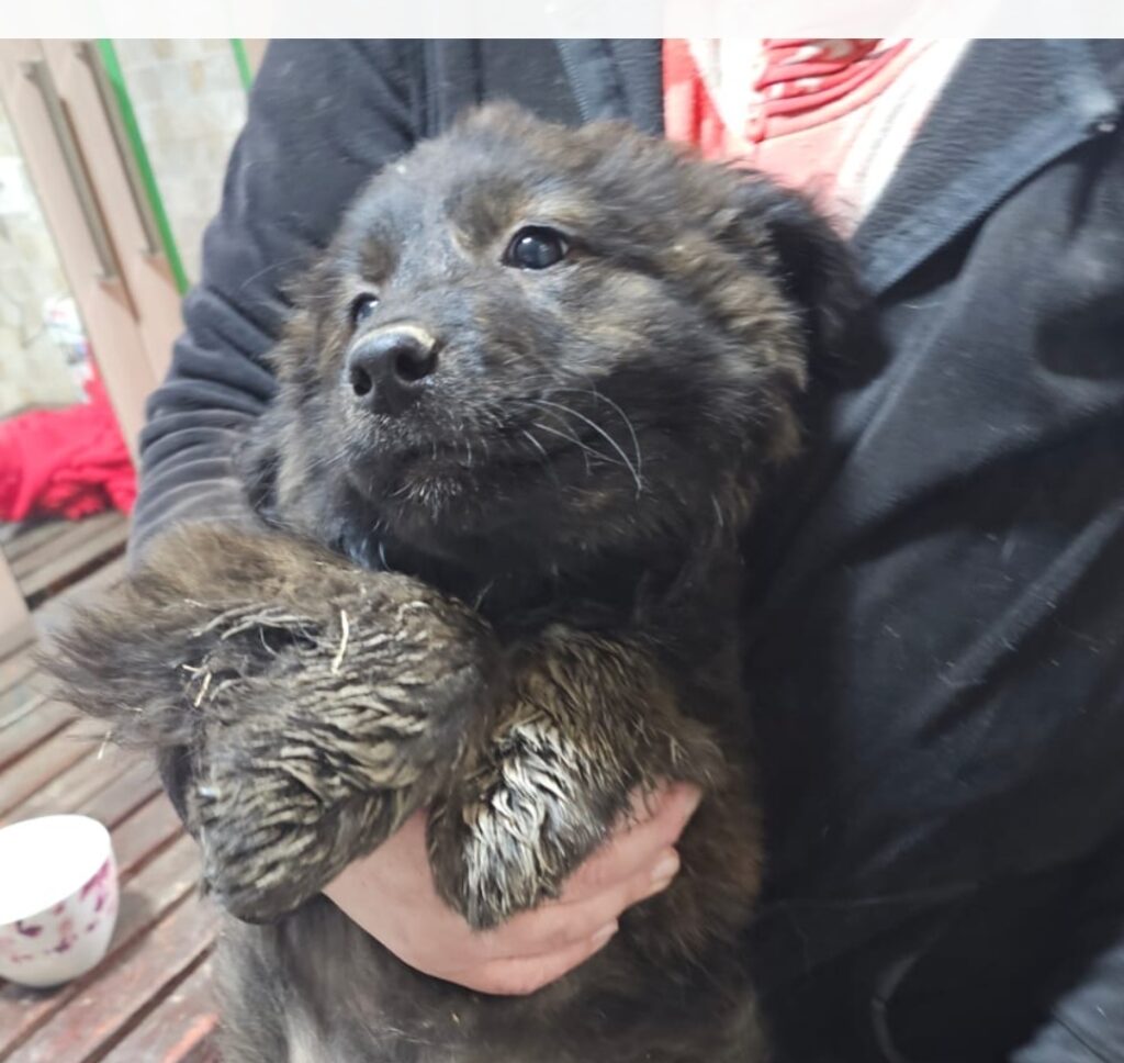 Screenshot_20260112_205030_Gallery