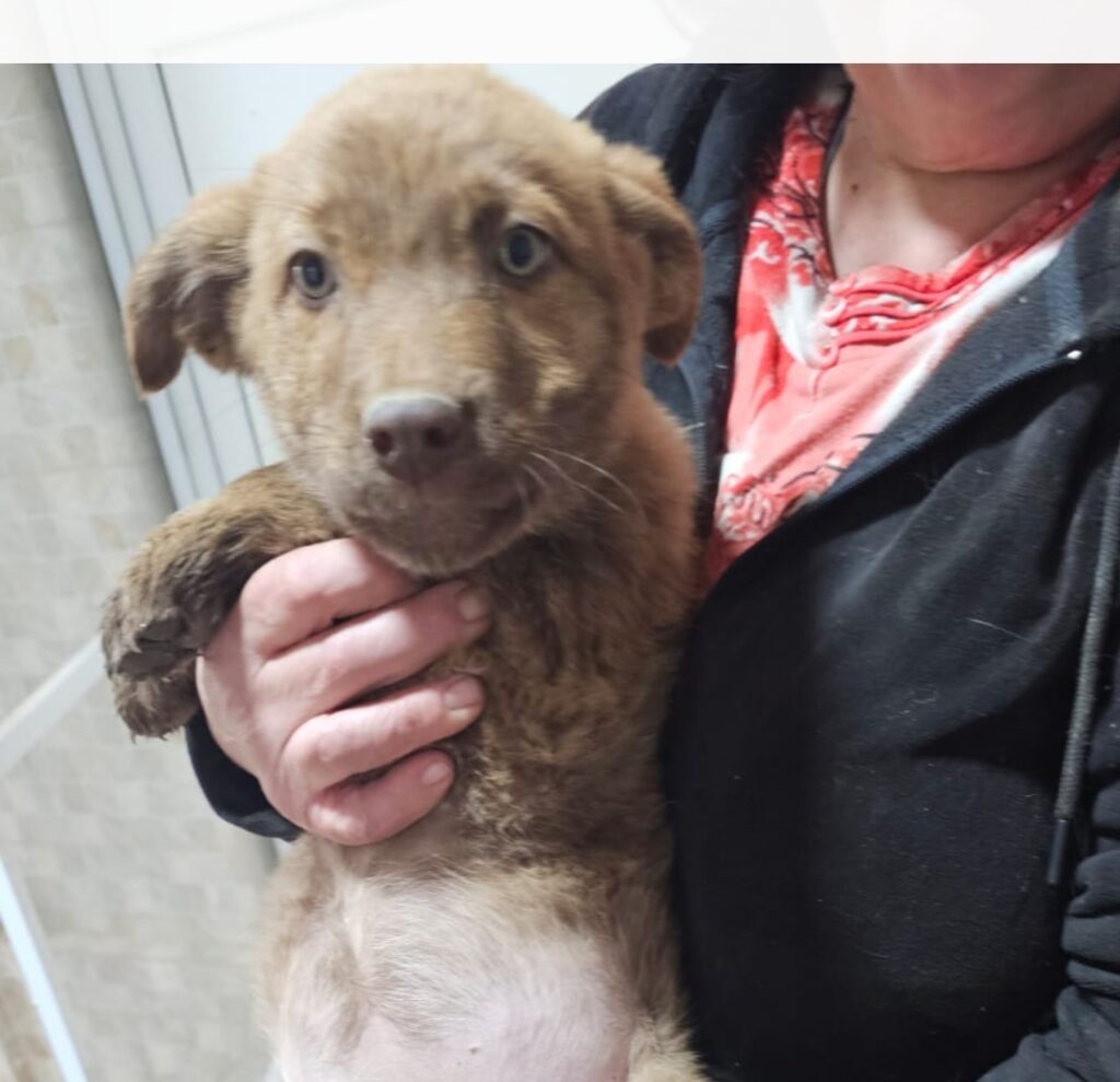 Screenshot_20260112_205449_Gallery