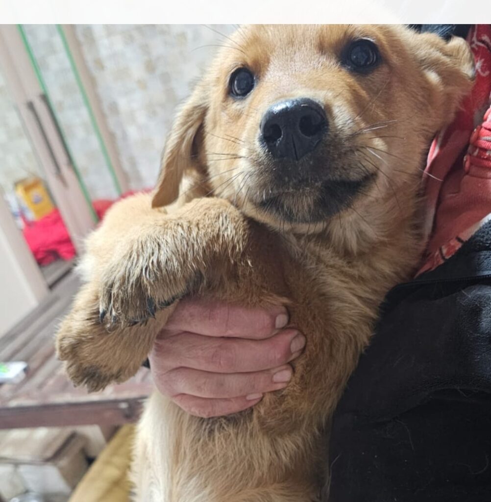 Screenshot_20260112_210055_Gallery