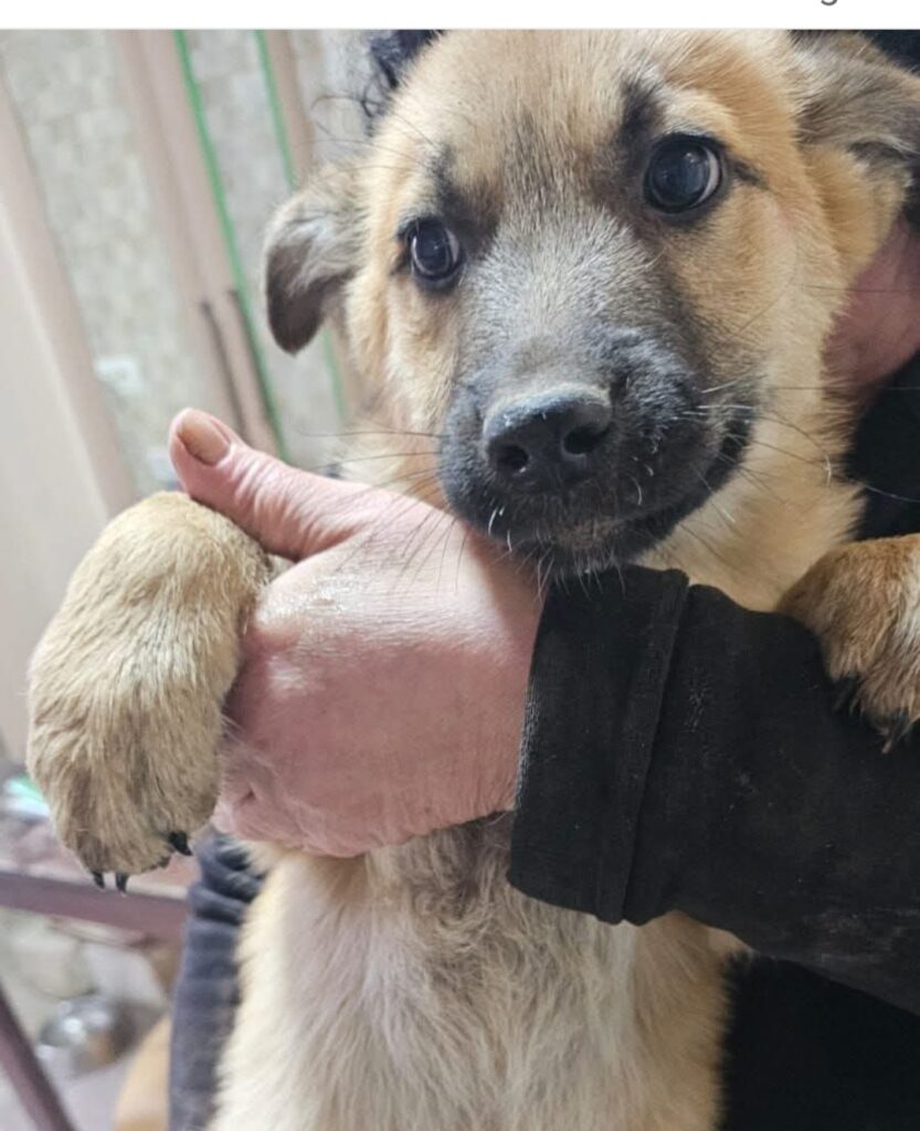 Screenshot_20260112_211442_Facebook