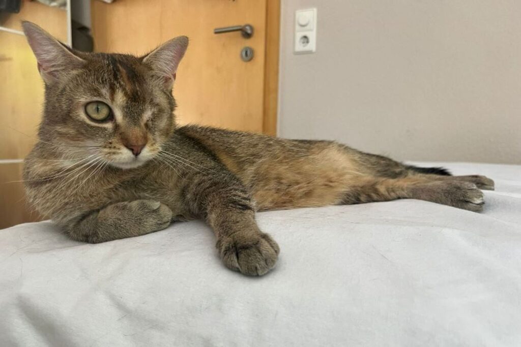 csm_Minnie_3_2ab3d1f535