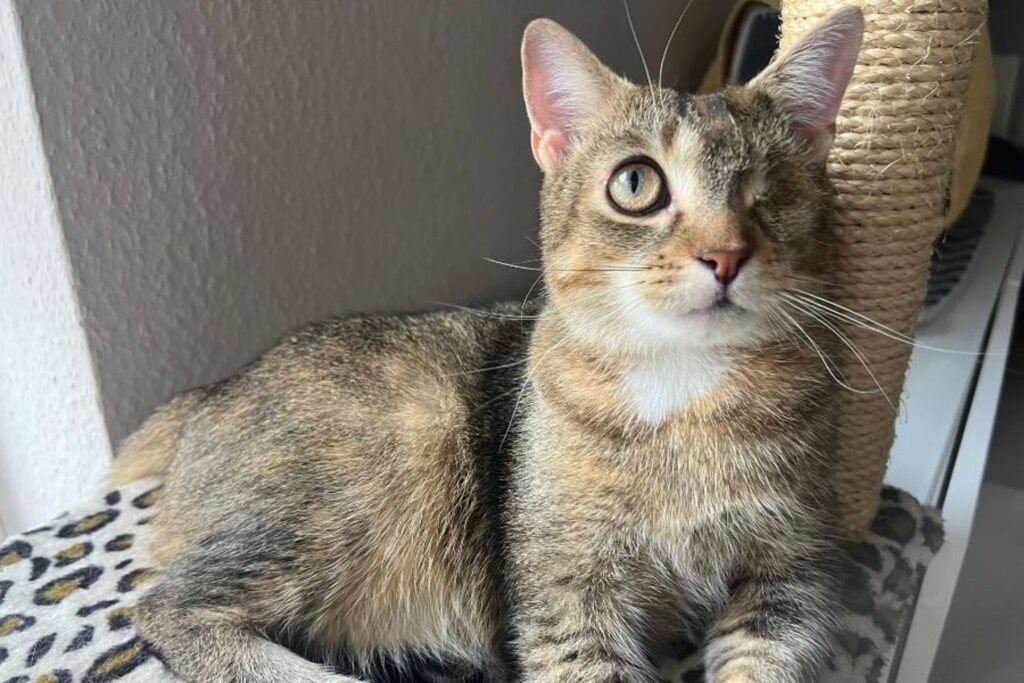 csm_Minnie_c4dca1f1ab