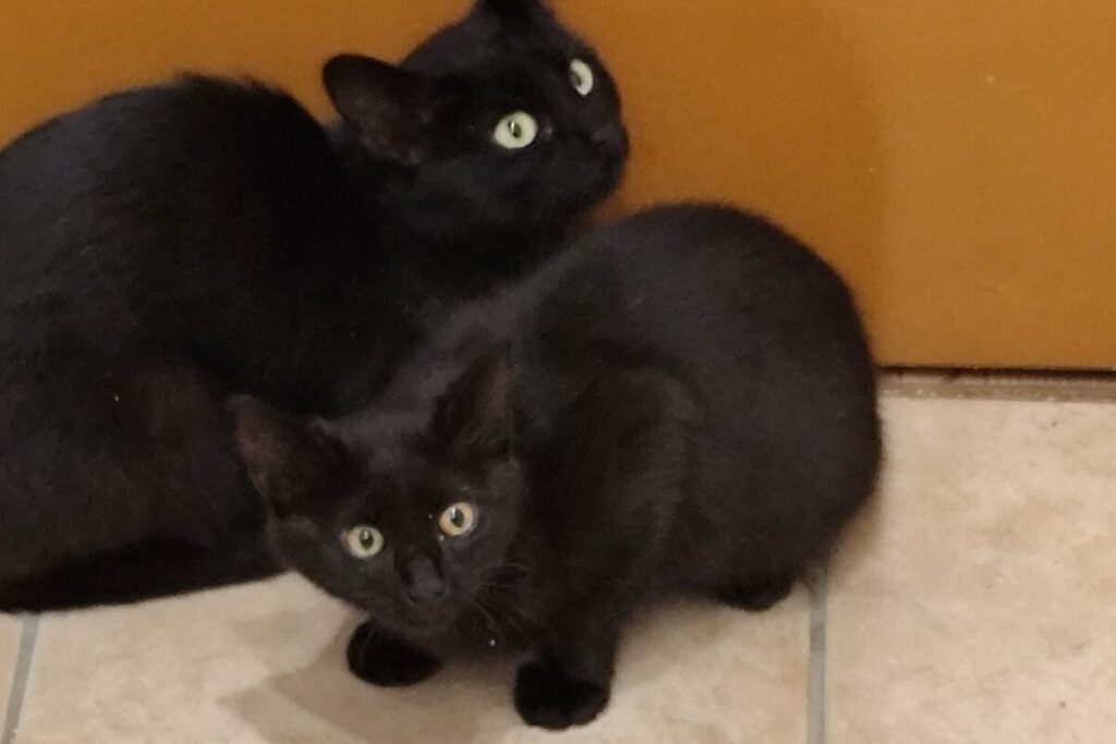 csm_Sia_und_Loreley_6d246ed167