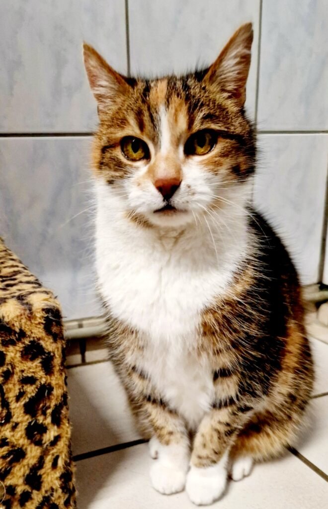 Screenshot_20260121_182908_Gallery