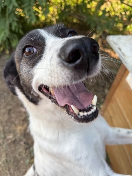 Samantha-20250711-03