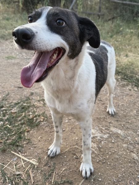 Samantha-20250711-04