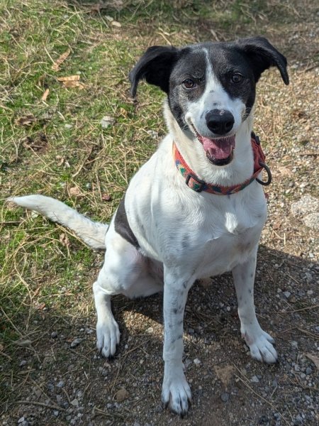 Samantha-20251013-01