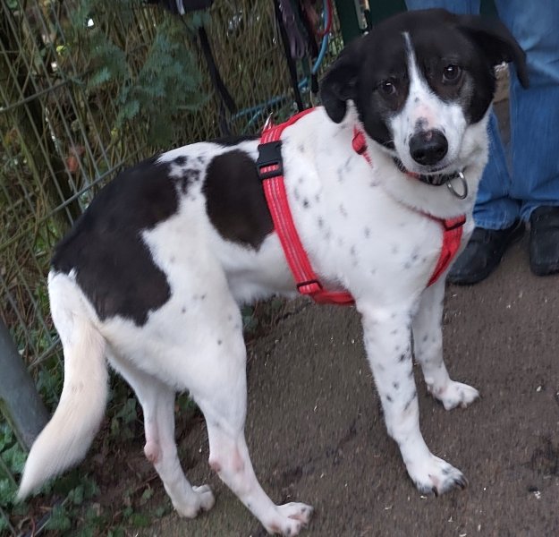 Samantha 20260314-01