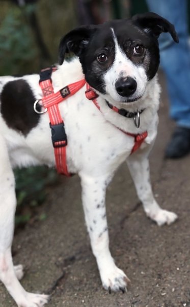 Samantha 20260314-02