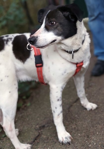 Samantha 20260314-03