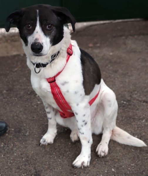 Samantha 20260314-04