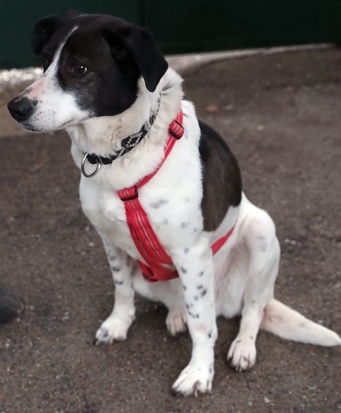 Samantha 20260314-05