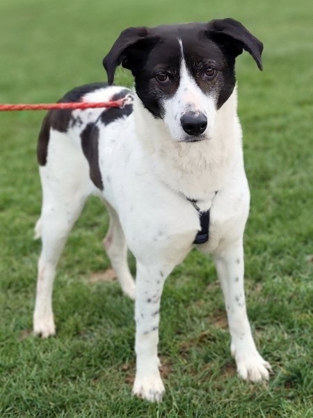 Samantha 20260314-06