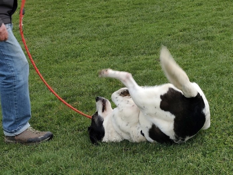 Samantha 20260314-07