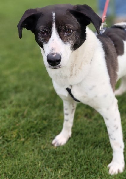 Samantha 20260314-08