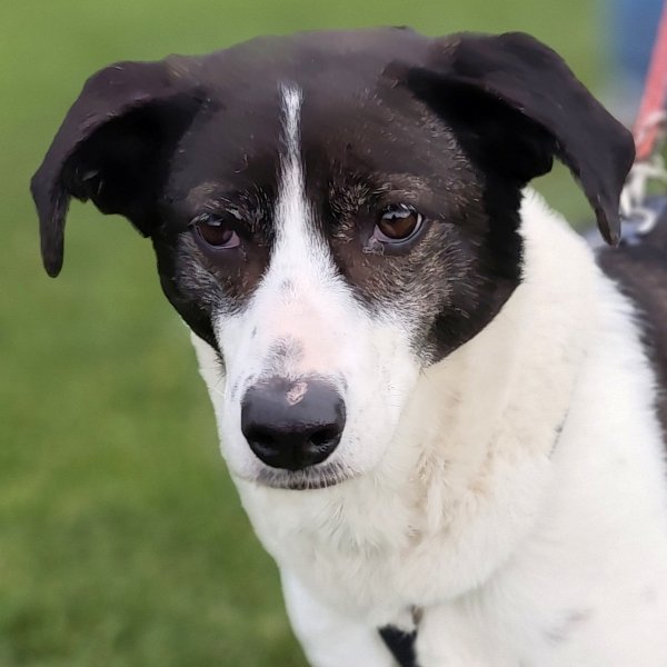 Samantha 20260314-12