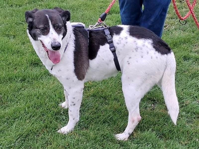 Samantha 20260321-01