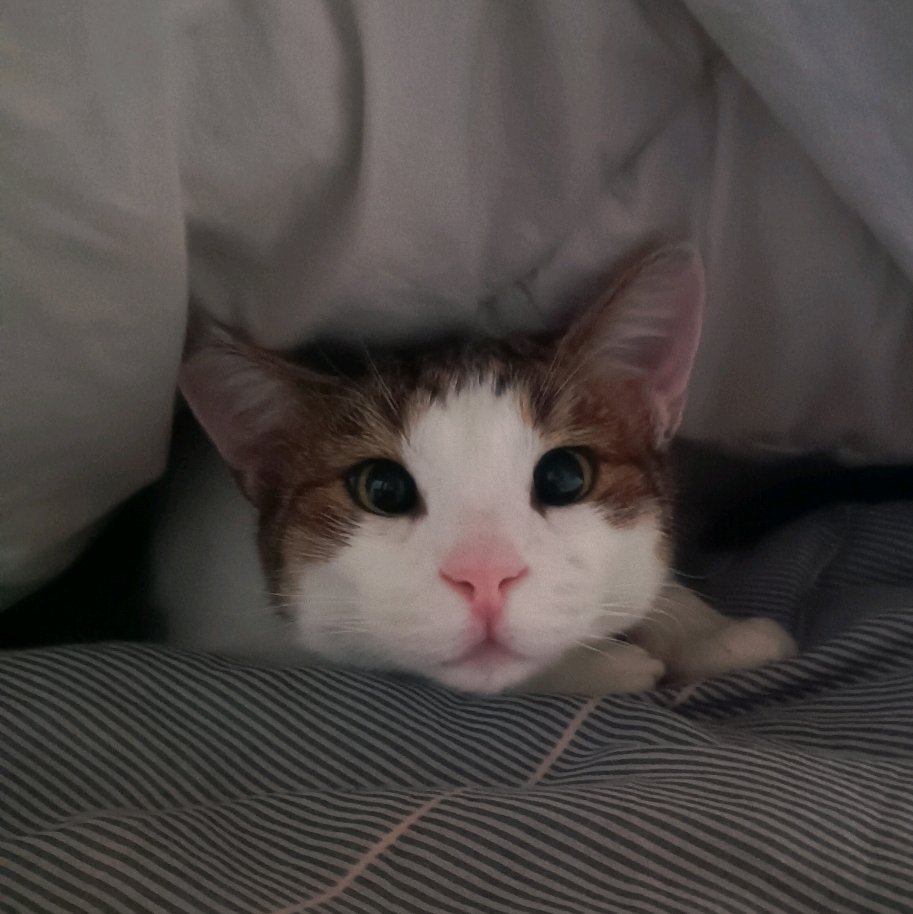 Screenshot_20260322_144124_Outlook