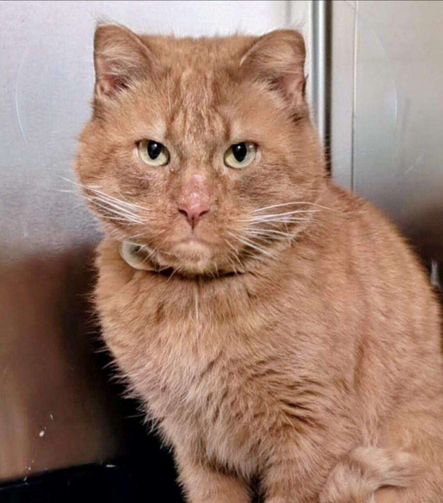 Screenshot_20260325_122651_Photos