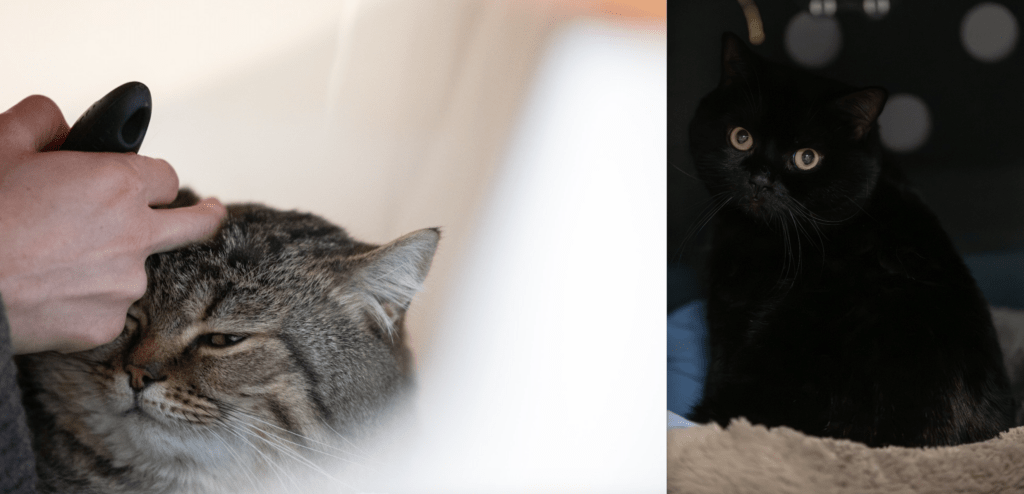 Bildschirmfoto 2026-04-06 um 15.31.34