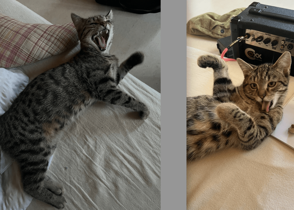 Bildschirmfoto 2026-04-06 um 15.35.38