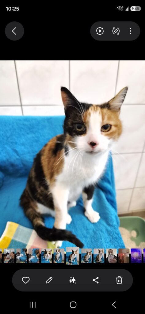 Screenshot_20260401_102544_Gallery