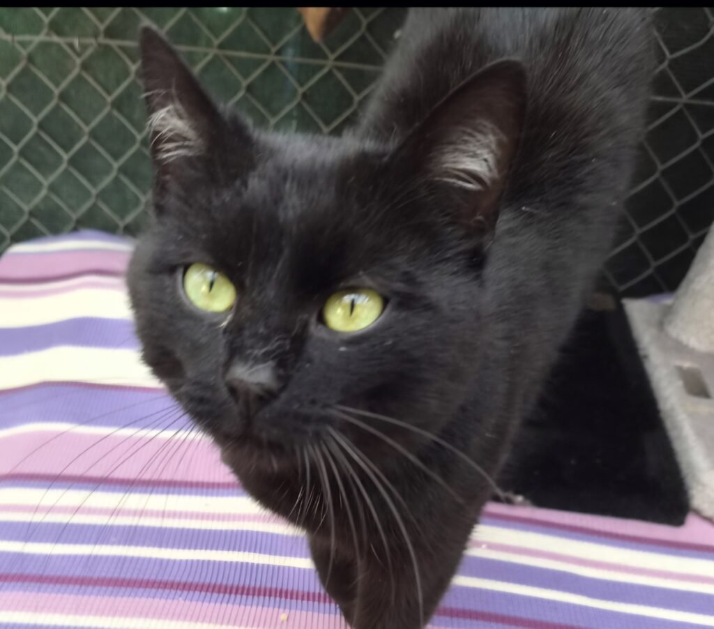 Screenshot_20260408_085929_Gallery