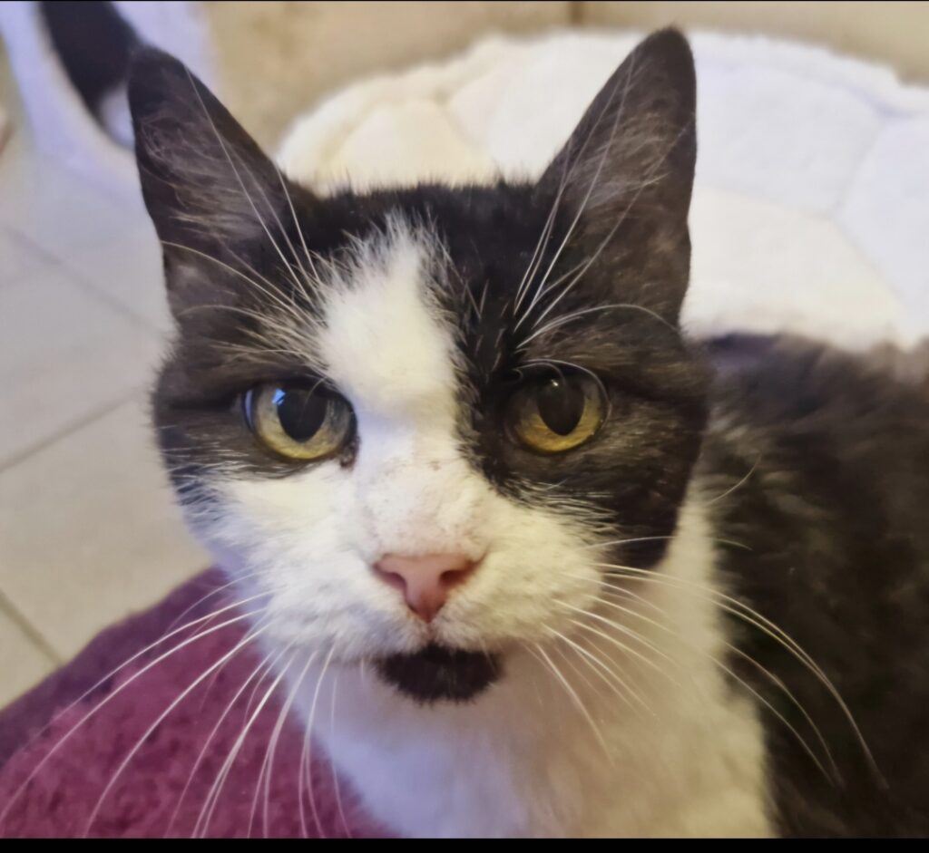 Screenshot_20260415_113319_Gallery