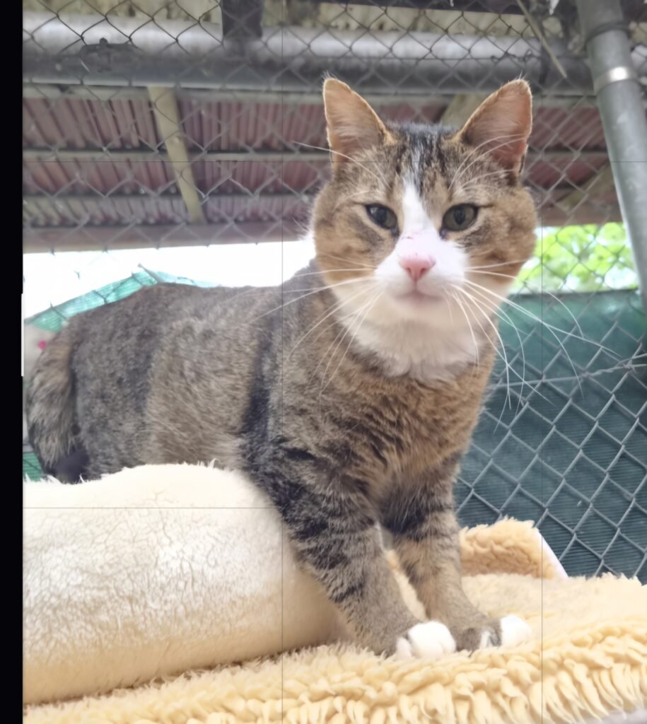 Screenshot_20260422_112101_Photo Editor