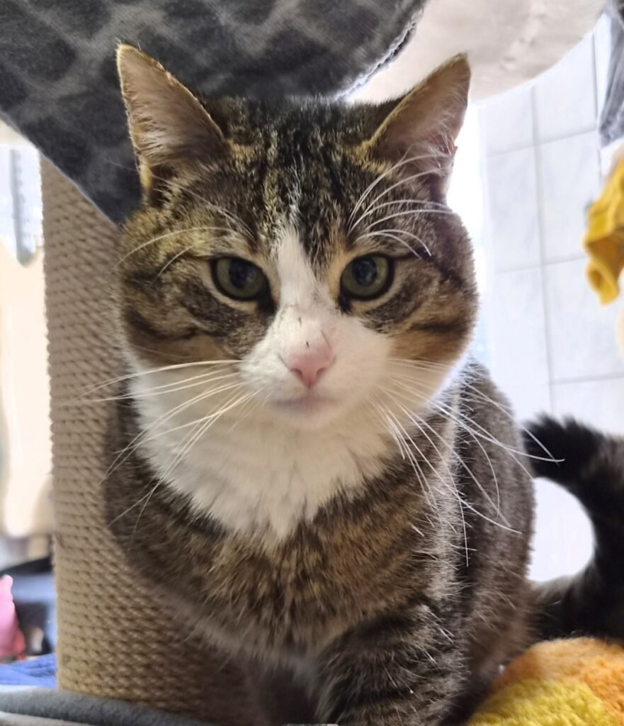 Screenshot_20260422_112141_Gallery