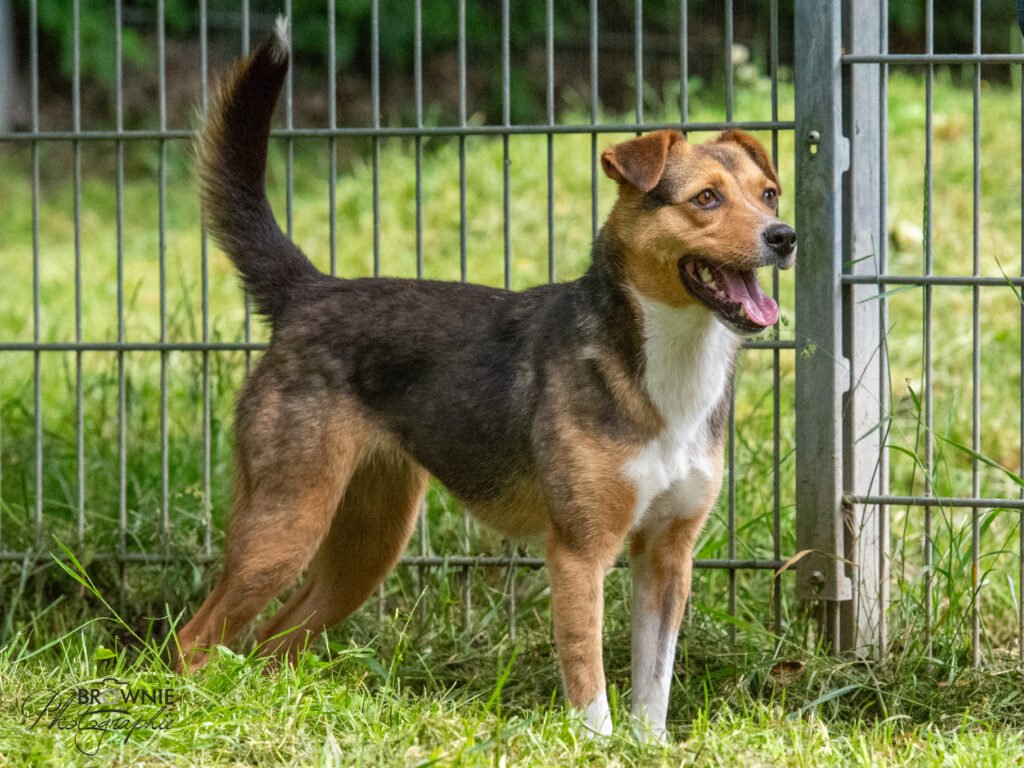 Nayeli-4