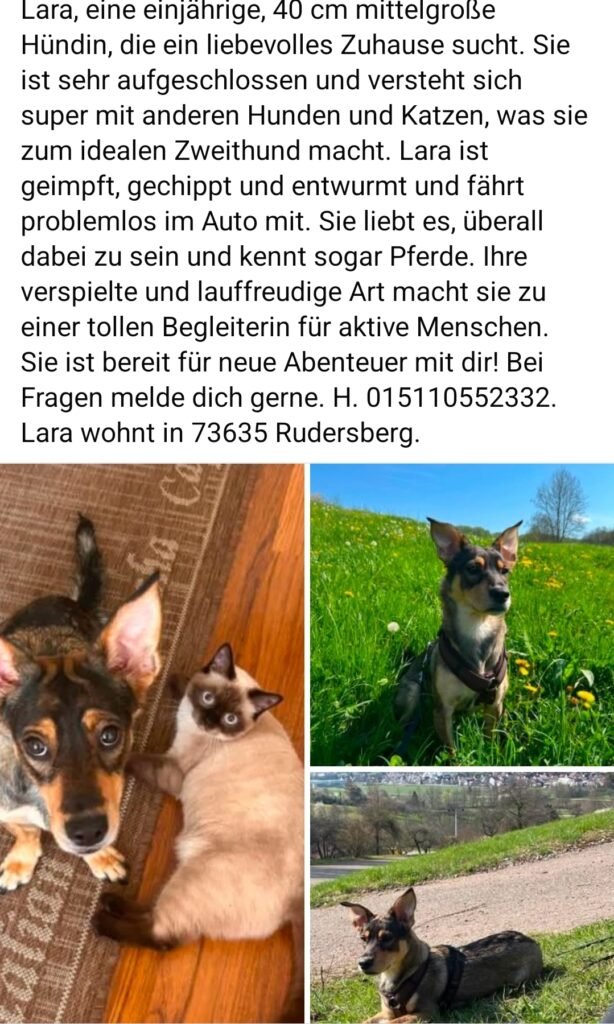 Screenshot_20260706_154750_Facebook