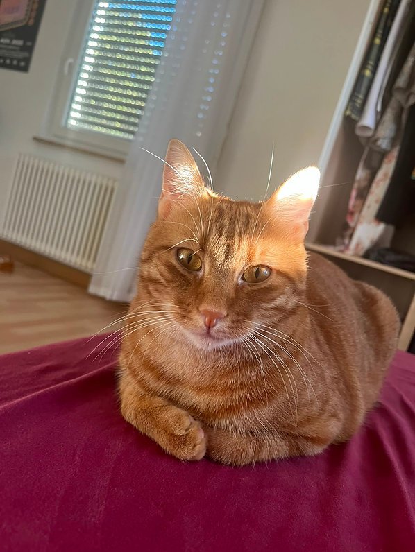 Milo