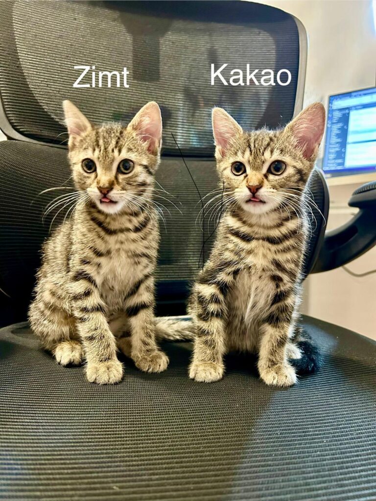Kakao-Zimt_Vanille