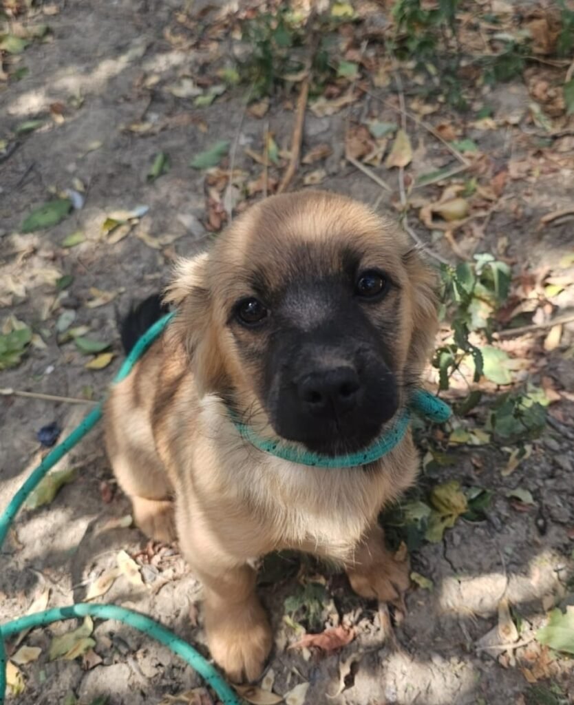 Screenshot_20260924_212533_WhatsApp